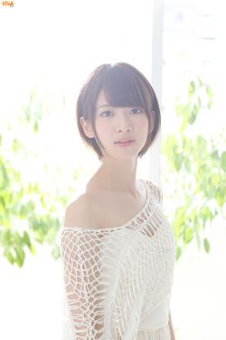 甄懐传