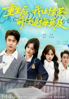 重生后，我让绿茶前任追悔莫及